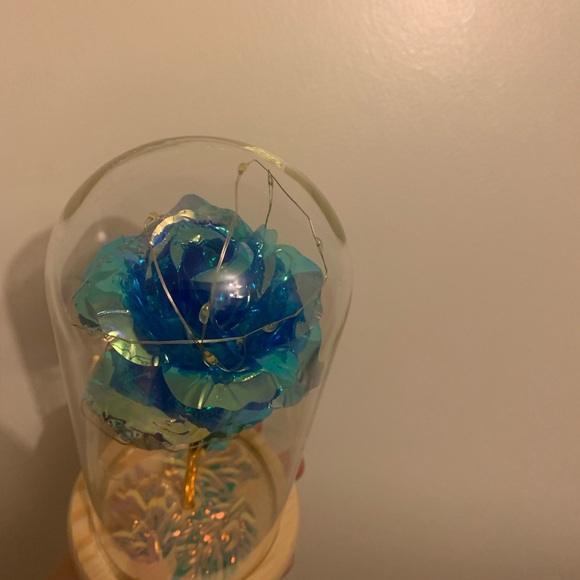 Rose - Picture 5 of 10